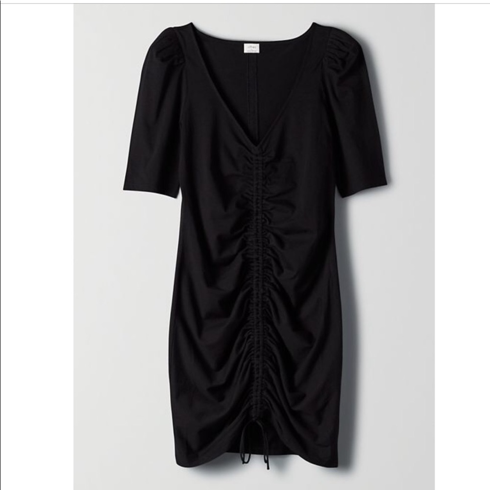 Aritzia Wilfred Nissa Dress
